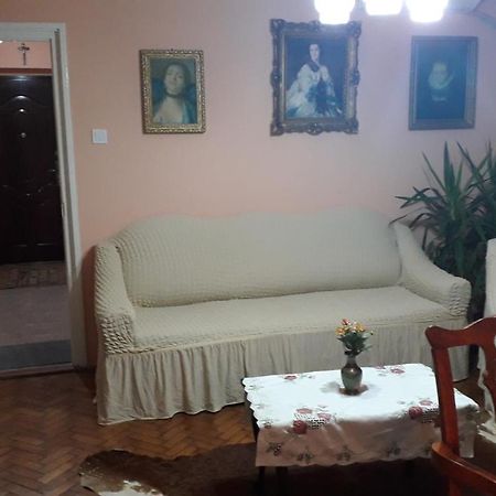 Cozy, Central 1-Bedroom Apartment In Timisoara, Romania מראה חיצוני תמונה