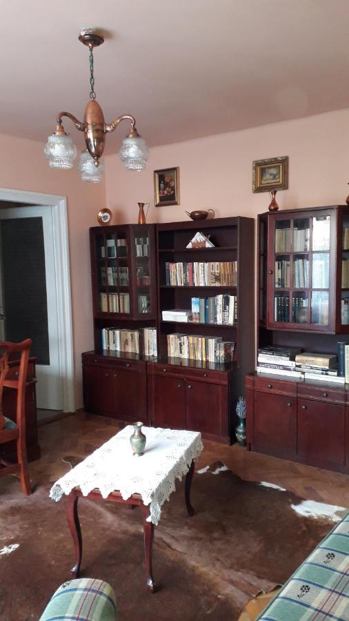 Cozy, Central 1-Bedroom Apartment In Timisoara, Romania מראה חיצוני תמונה