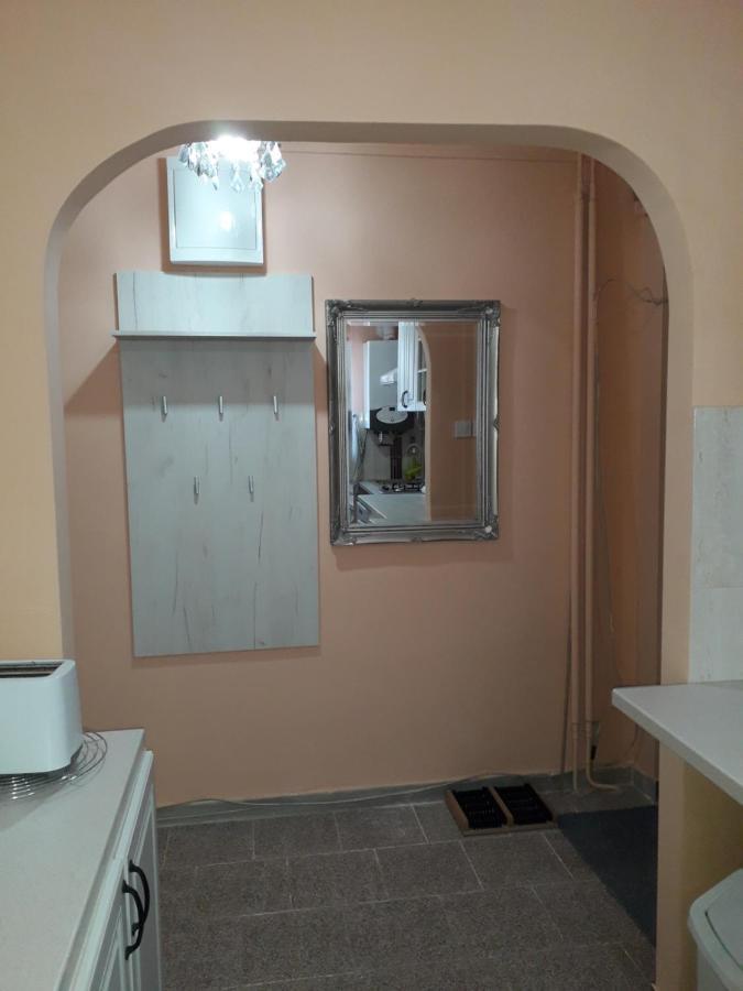 Cozy, Central 1-Bedroom Apartment In Timisoara, Romania מראה חיצוני תמונה
