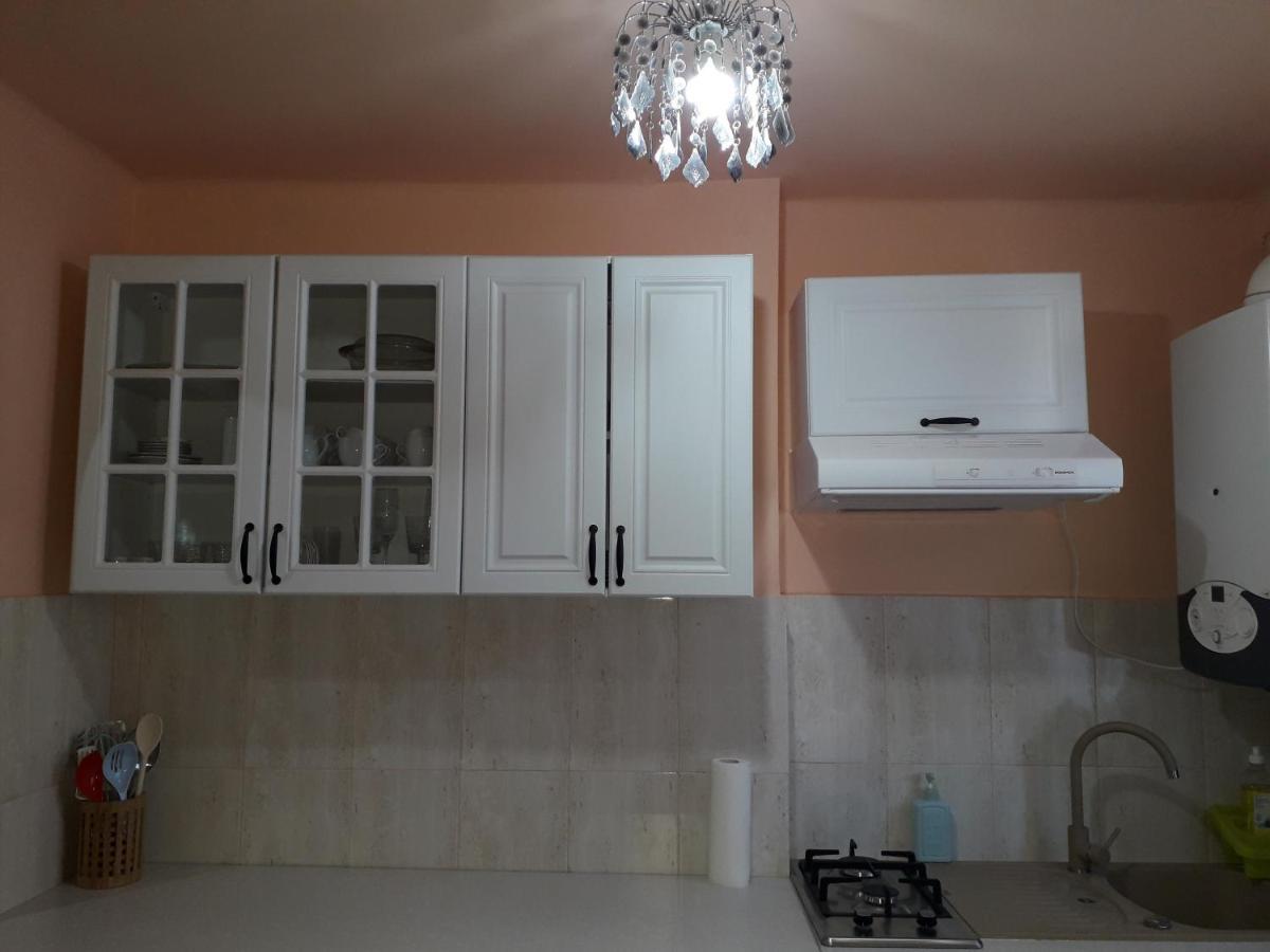 Cozy, Central 1-Bedroom Apartment In Timisoara, Romania מראה חיצוני תמונה