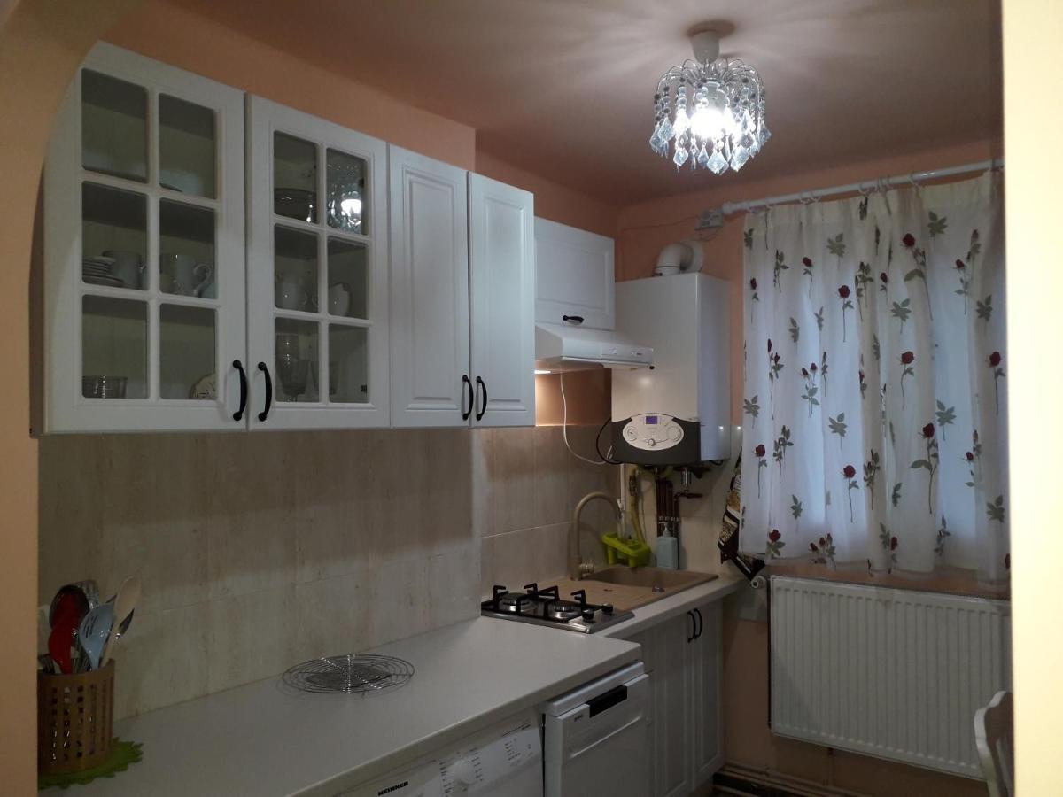 Cozy, Central 1-Bedroom Apartment In Timisoara, Romania מראה חיצוני תמונה