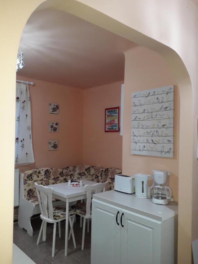 Cozy, Central 1-Bedroom Apartment In Timisoara, Romania מראה חיצוני תמונה