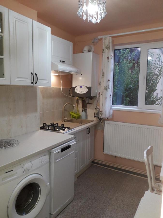 Cozy, Central 1-Bedroom Apartment In Timisoara, Romania מראה חיצוני תמונה