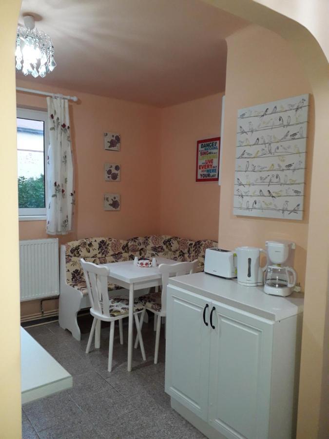 Cozy, Central 1-Bedroom Apartment In Timisoara, Romania מראה חיצוני תמונה