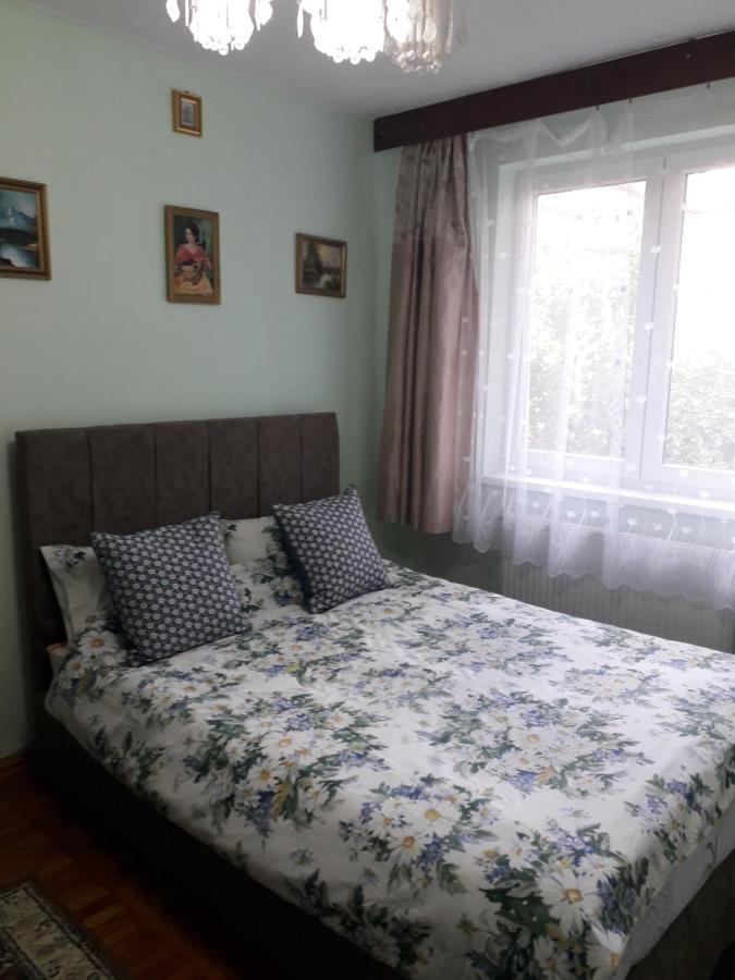 Cozy, Central 1-Bedroom Apartment In Timisoara, Romania מראה חיצוני תמונה
