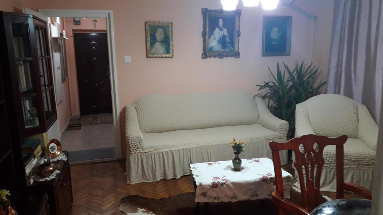 Cozy, Central 1-Bedroom Apartment In Timisoara, Romania מראה חיצוני תמונה